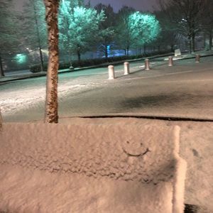 Meet your Posher, Tammi